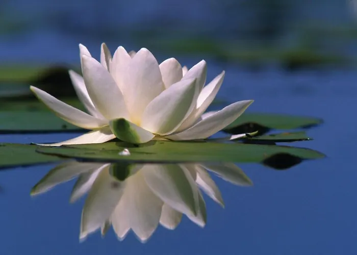 아파트 Teresa Hévíz